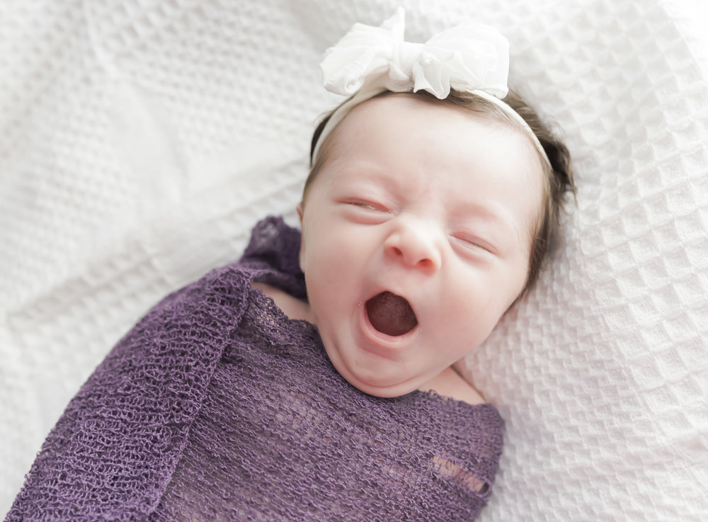 Miss Oakleigh gave me the cutest yawn!